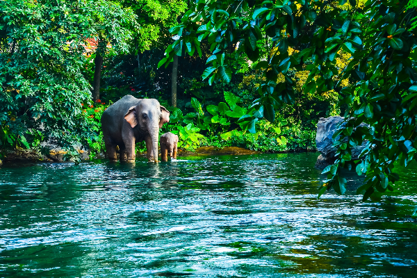 8D7N Eastern Thailand Tour - photo 2